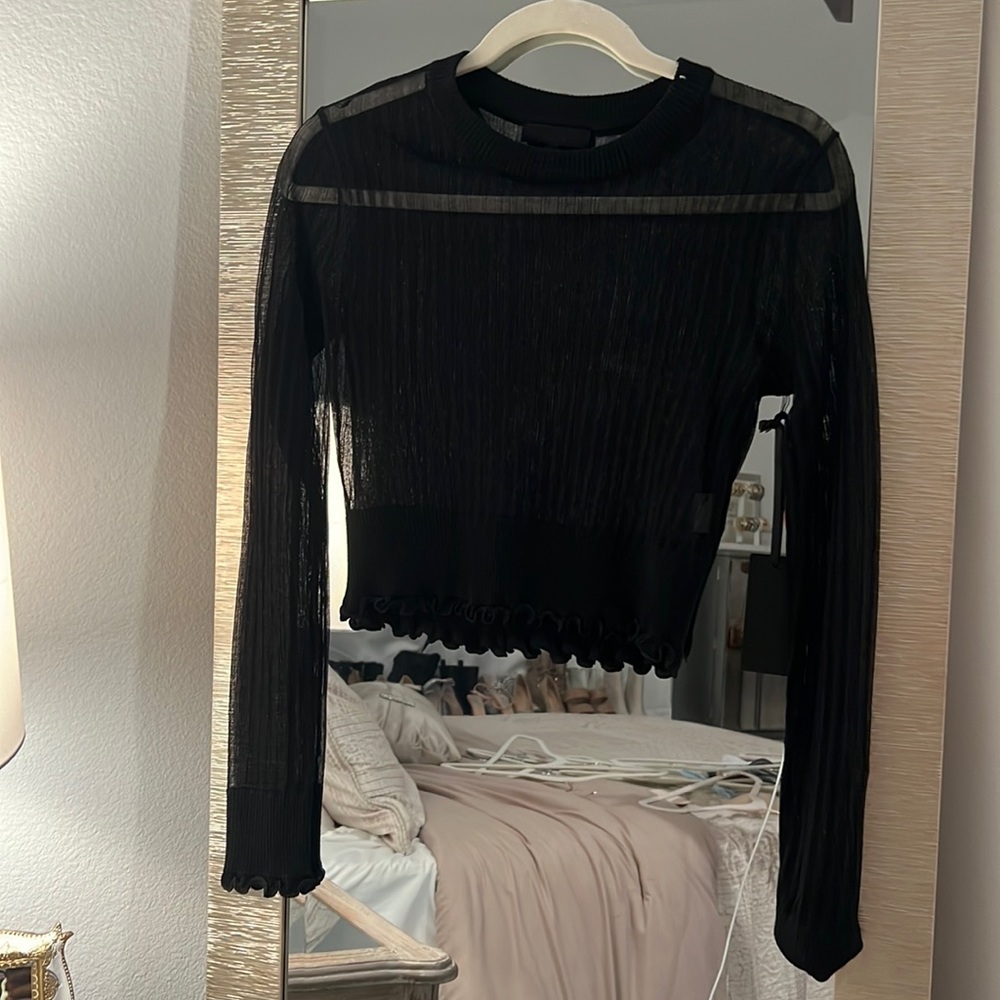 Hours long sleeve see through top